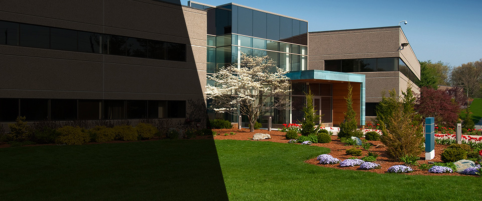 Mount Kisco Landscapers