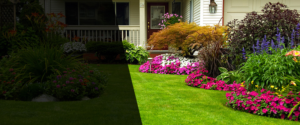 Mount Kisco Landscapers