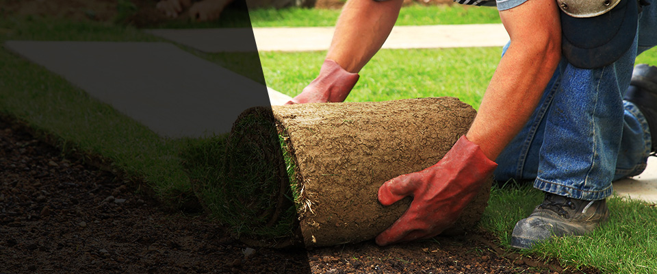 Mount Kisco Landscapers
